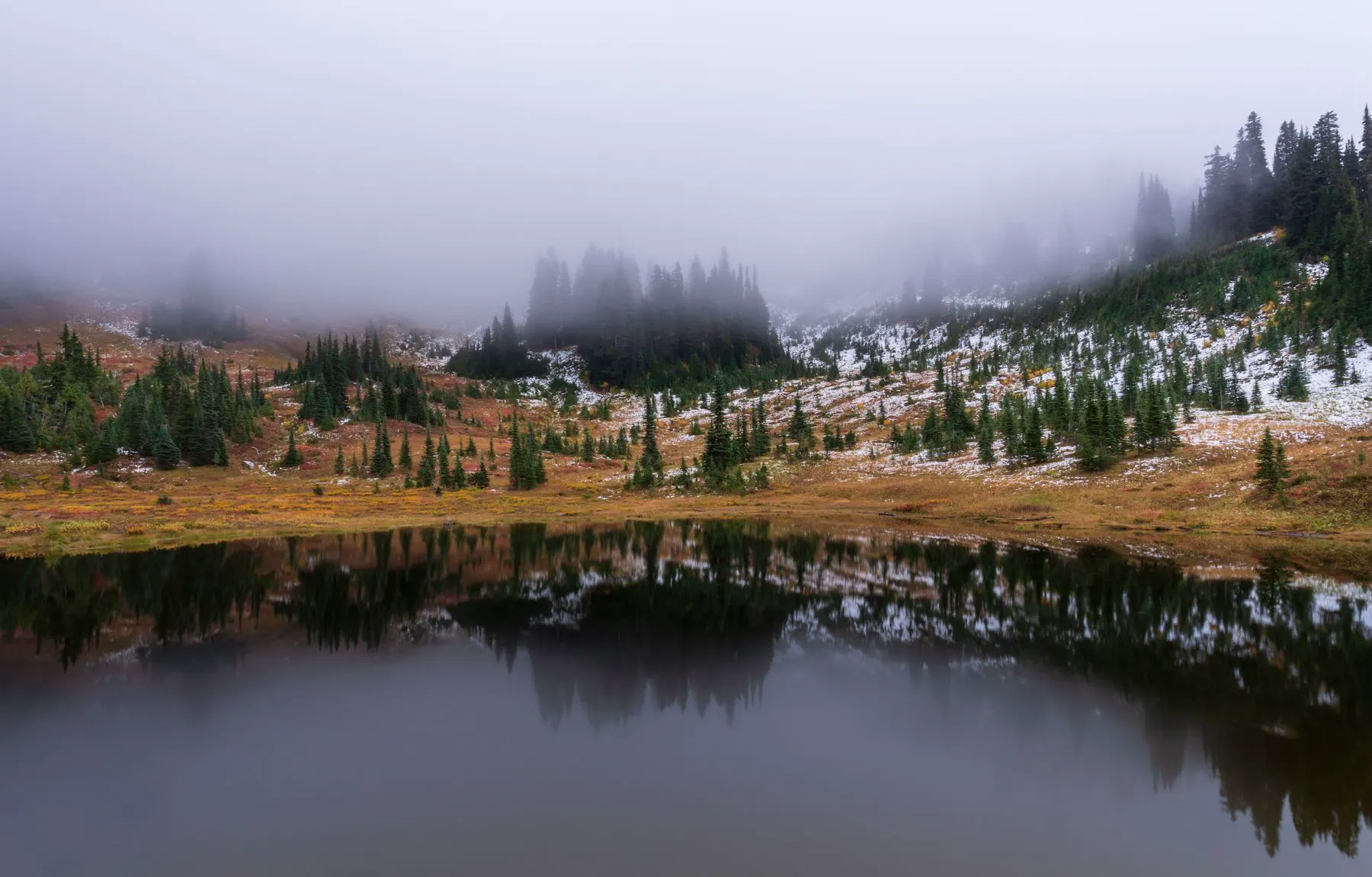 Fog over an alpine lake and evergreens in Washington